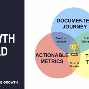 Do it Yourself - 90 Day Growth Accelerator